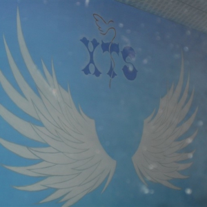 2011年8月龙华AAA大厦深圳《小天使》舞蹈培训教室墙绘壁画
