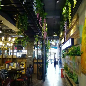 2017年6月《爱上饭》主题餐厅（布吉水径店）墙绘壁画及植被墙软装