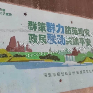 2020年11月深圳市宝安区地质灾害防治知识宣传墙绘壁画案例（1）