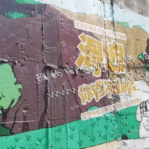 2020年11月深圳市宝安区地质灾害防治知识宣传墙绘壁画案例（2）