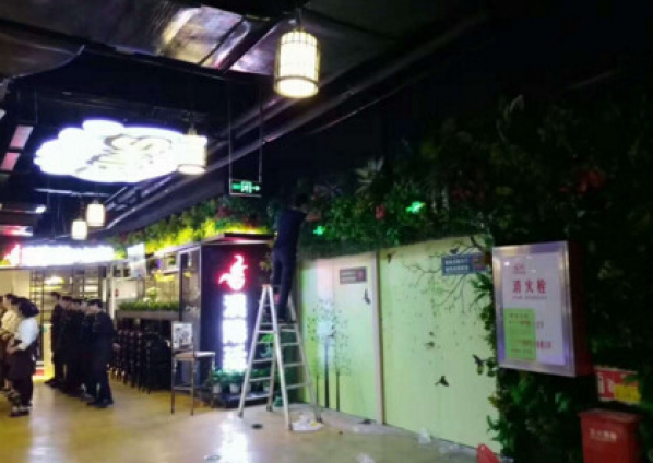 2017年5月汉阳廷主题餐厅仿真植物墙造型设计制作